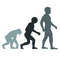 Thumbnail for version as of 23:27, 16 May 2010