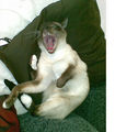 Thumbnail for version as of 15:27, 7 April 2008