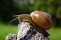 Thumbnail for version as of 15:25, 29 August 2007