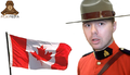 Thumbnail for version as of 01:07, 19 November 2011